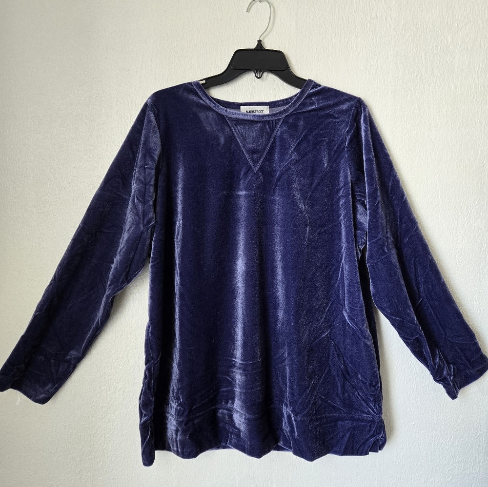 Woman Within Women's Plus Size Plush Velour Tunic Sweatshirt Purple